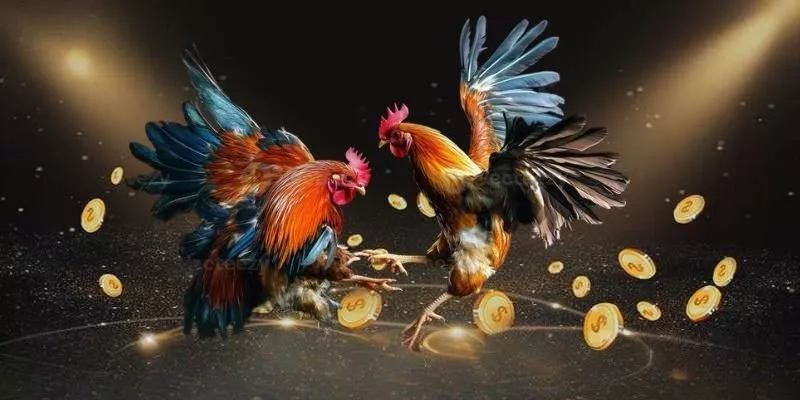 Đá Gà 9WIN - Tổng Quan Về Nền Tảng Tham Gia Sân Chơi Đỉnh Cao Đá Gà 9WIN - Tổng Quan Về Nền Tảng Tham Gia Sân Chơi Đỉnh Cao