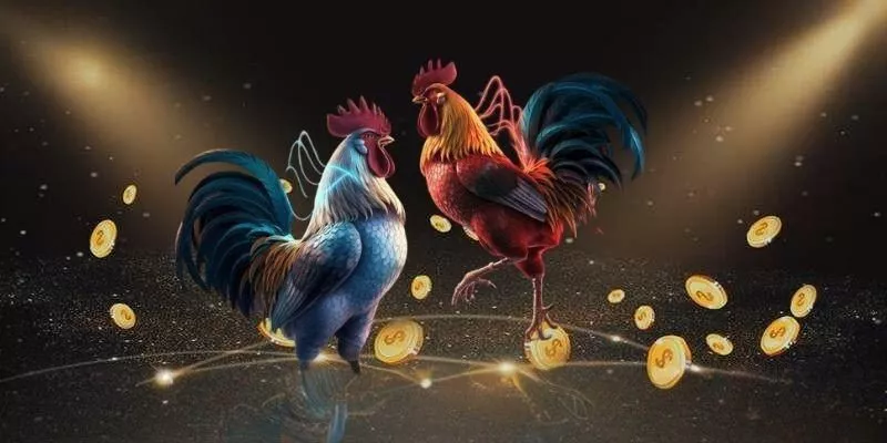 Tại Sao Nên Chọn Đá Gà 9WIN - Ưu Điểm Vượt Trội So Với Các Nền Tảng Khác Tại Sao Nên Chọn Đá Gà 9WIN - Ưu Điểm Vượt Trội So Với Các Nền Tảng Khác